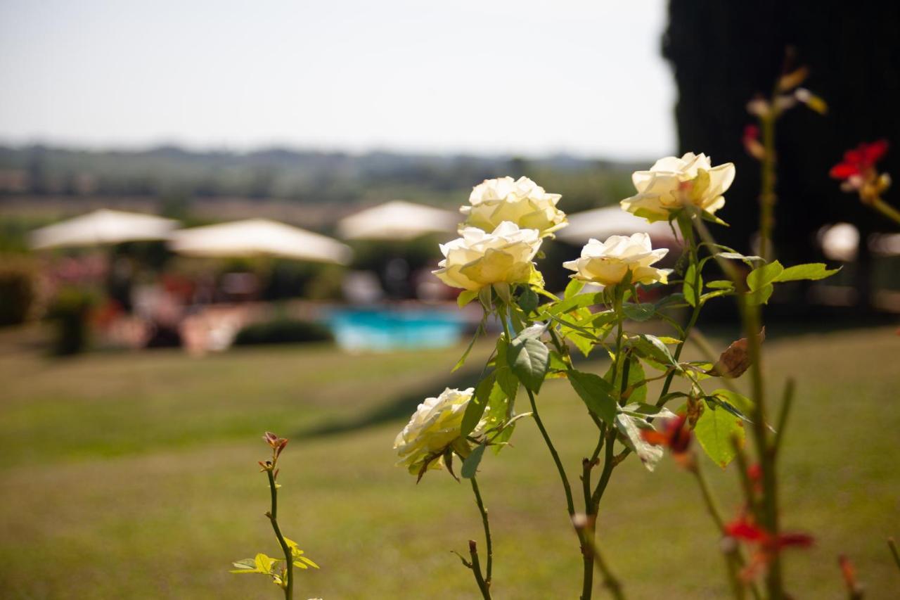 Casa Vacanze Casalsole ヴィンチ エクステリア 写真